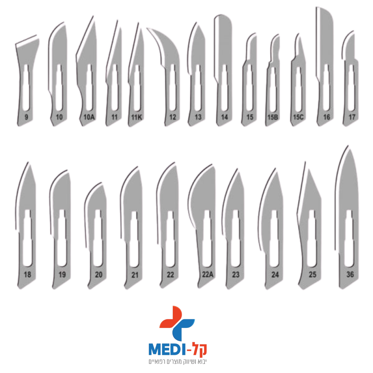 PIC – 2026-04-16T124431.212