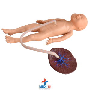 סימולציה חיתוך חבל תבור – ADVANCED NEONATE UMBILICAL CORD NURSING MODEL