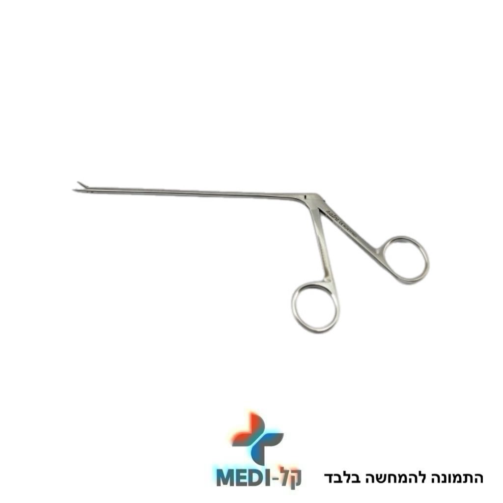 תמונה של WhatsApp‏ 2025-11-26 בשעה 13.23.09_a146b95d