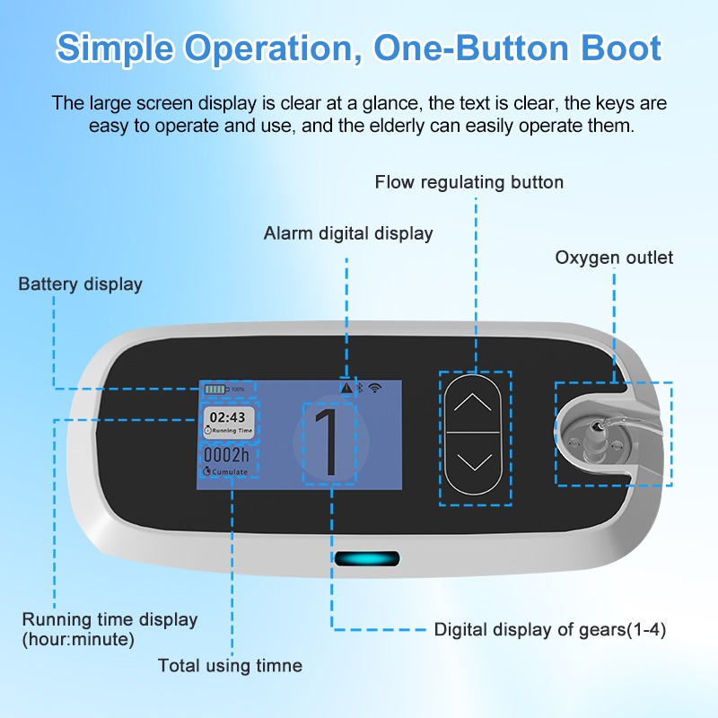 WhatsApp Image 2025-11-14 at 12.09.57 (2) WhatsApp Image 2025-11-14 at 12.09.57 (2)