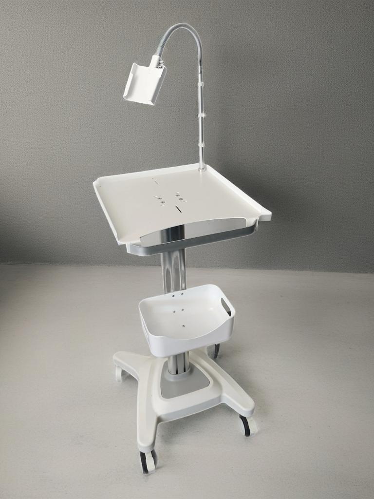 WhatsApp Image 2026-01-29 at 14.11.26